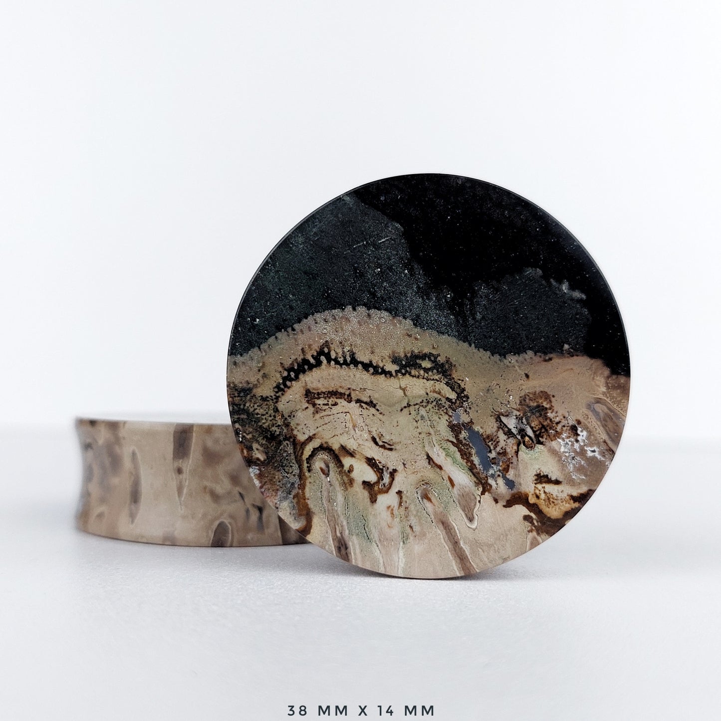 Petrified Palm Root 38mm (1 1/2") plugs