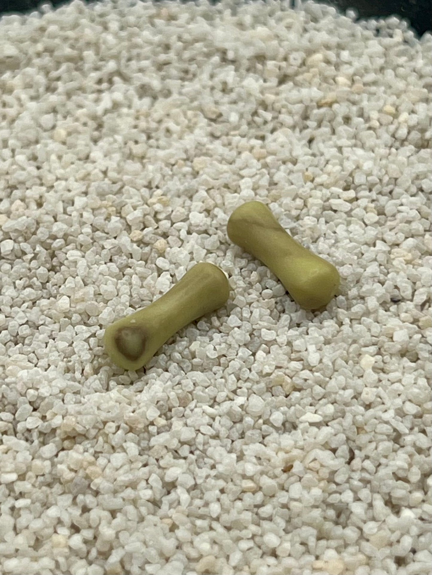 8g Double Flare Plugs