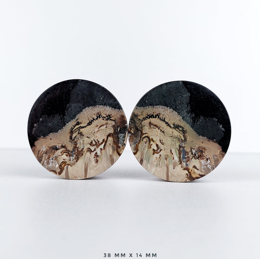 Petrified Palm Root 38mm (1 1/2") plugs