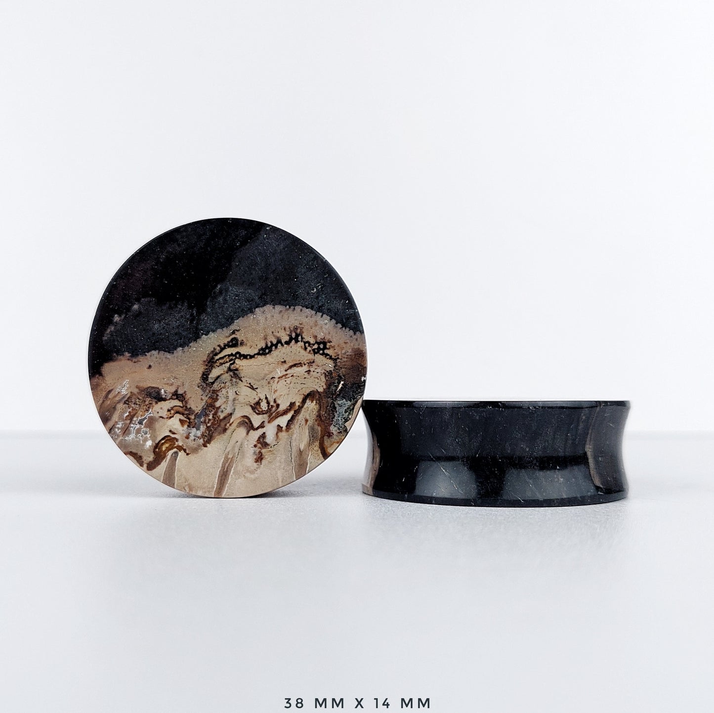 Petrified Palm Root 38mm (1 1/2") plugs