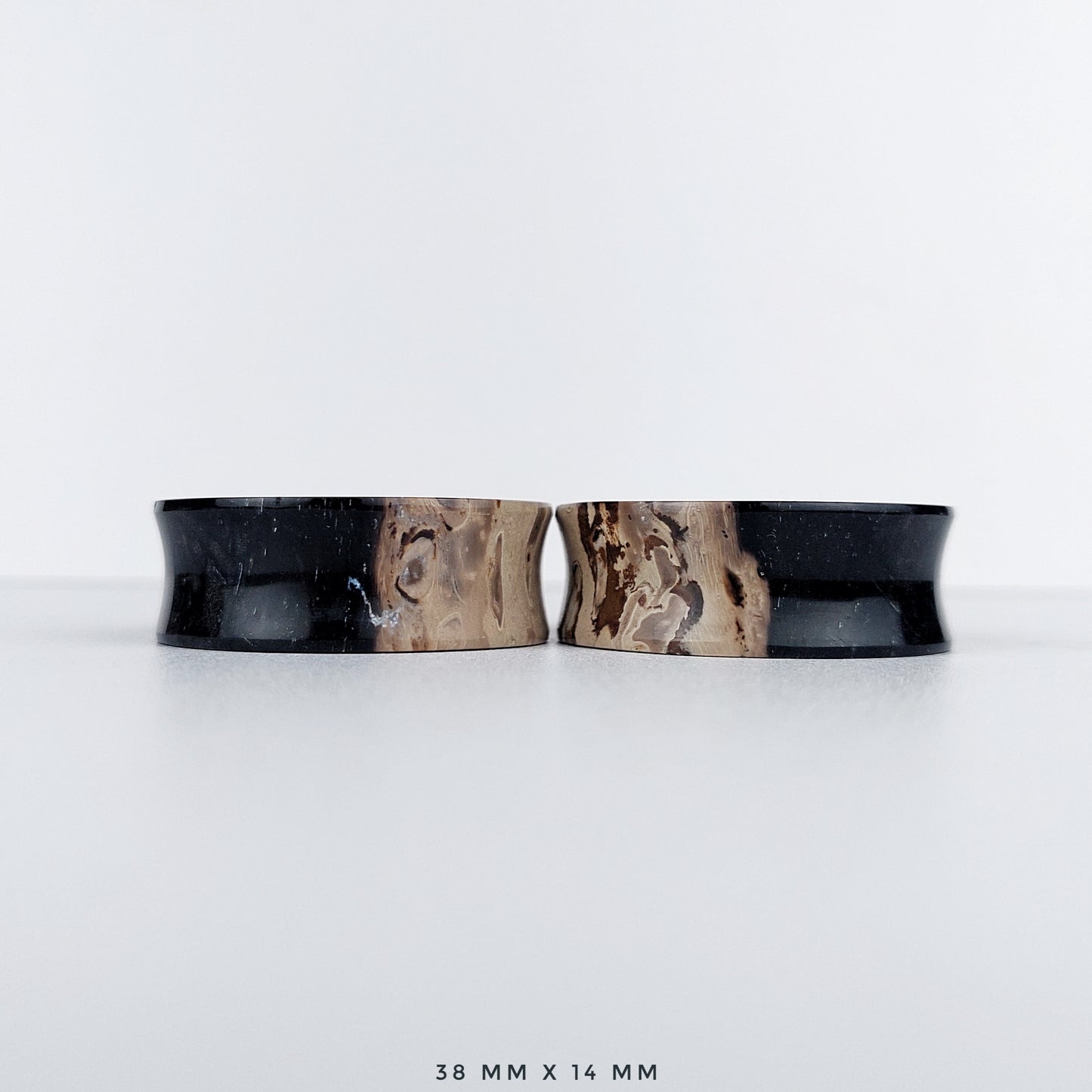 Petrified Palm Root 38mm (1 1/2") plugs