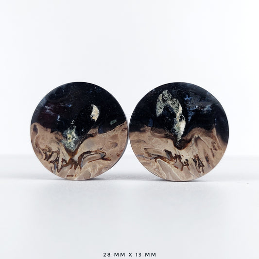 Petrified Palm Root 28mm (1 1/8") plugs