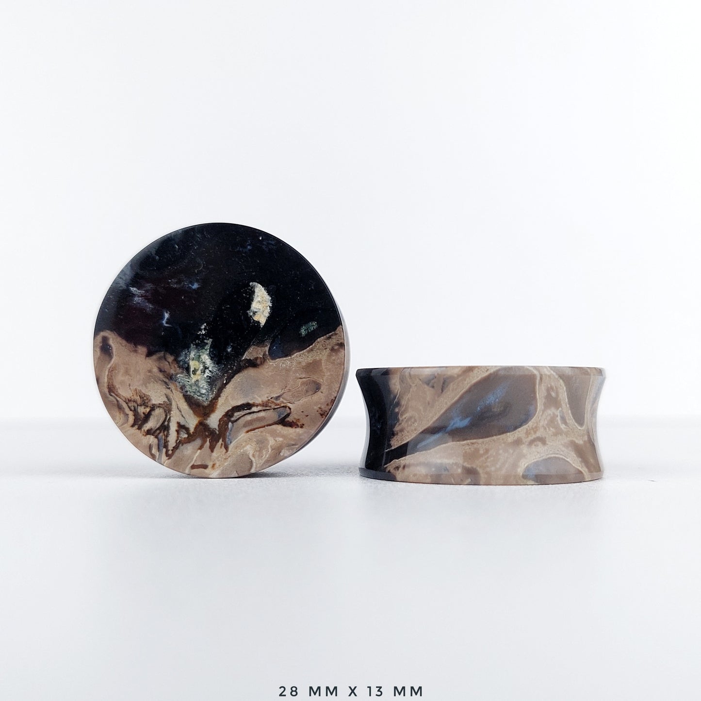 Petrified Palm Root 28mm (1 1/8") plugs
