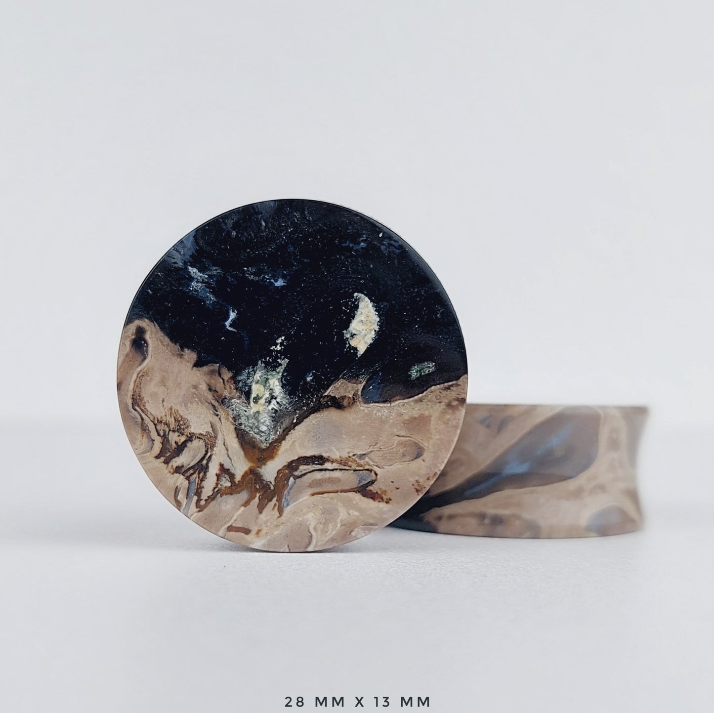 Petrified Palm Root 28mm (1 1/8") plugs
