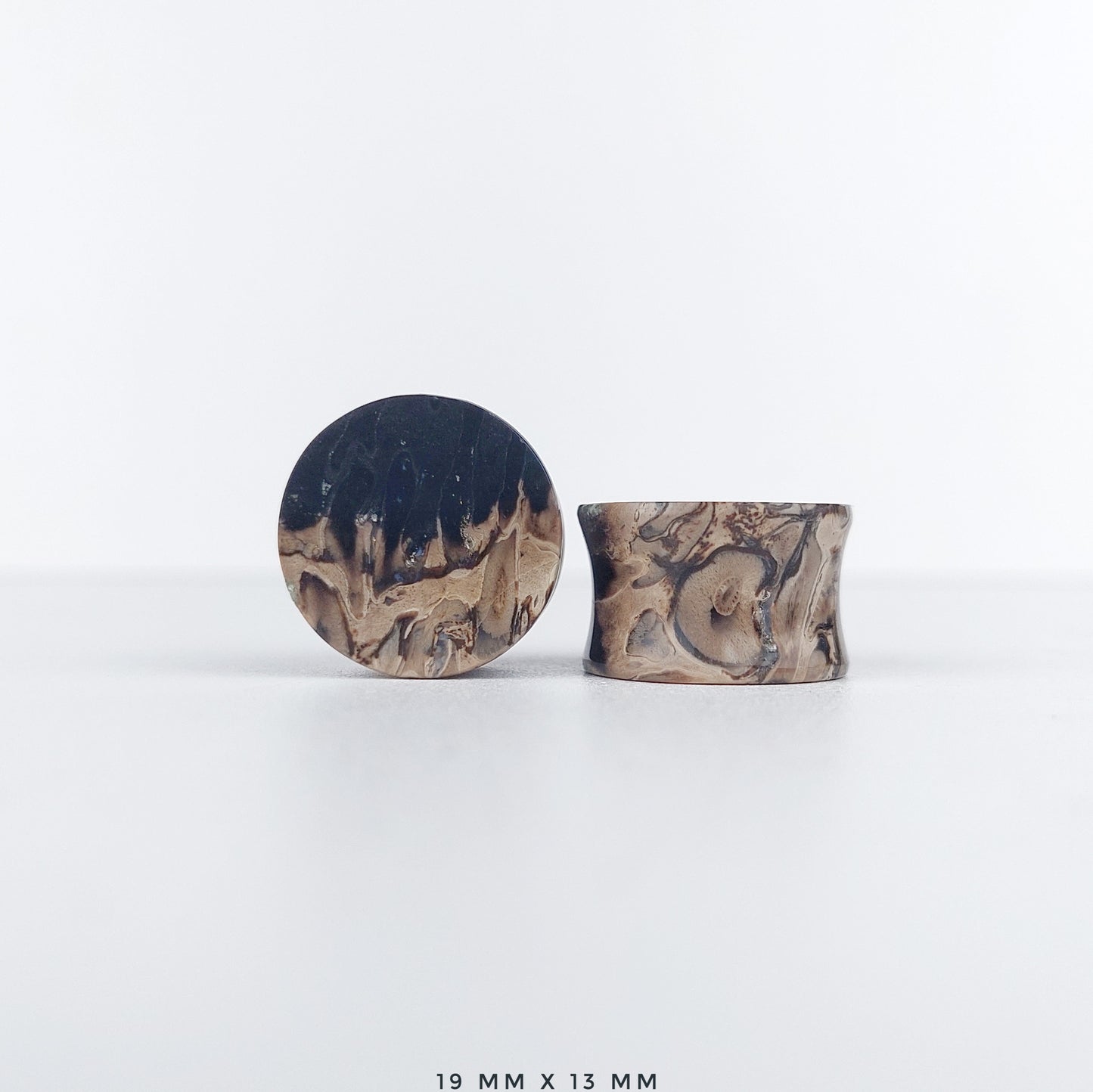 Petrified Palm Root 19mm (3/4") plugs