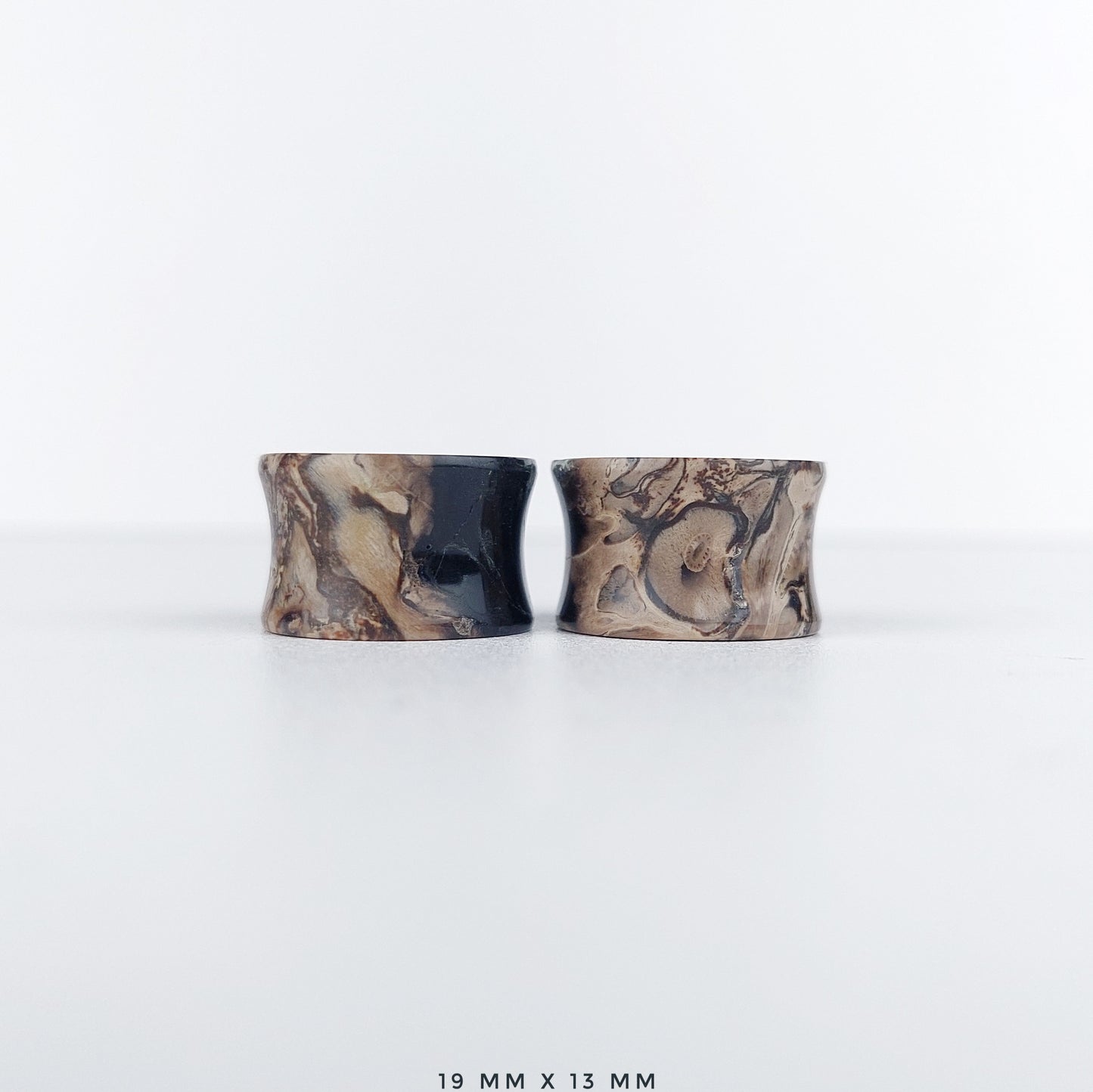 Petrified Palm Root 19mm (3/4") plugs