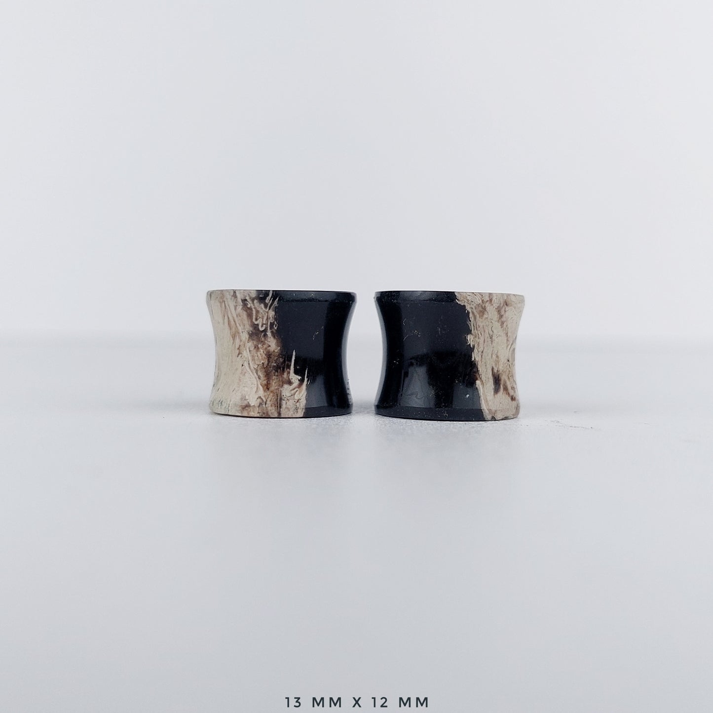 Petrified Palm Root 13mm (1/2") plugs