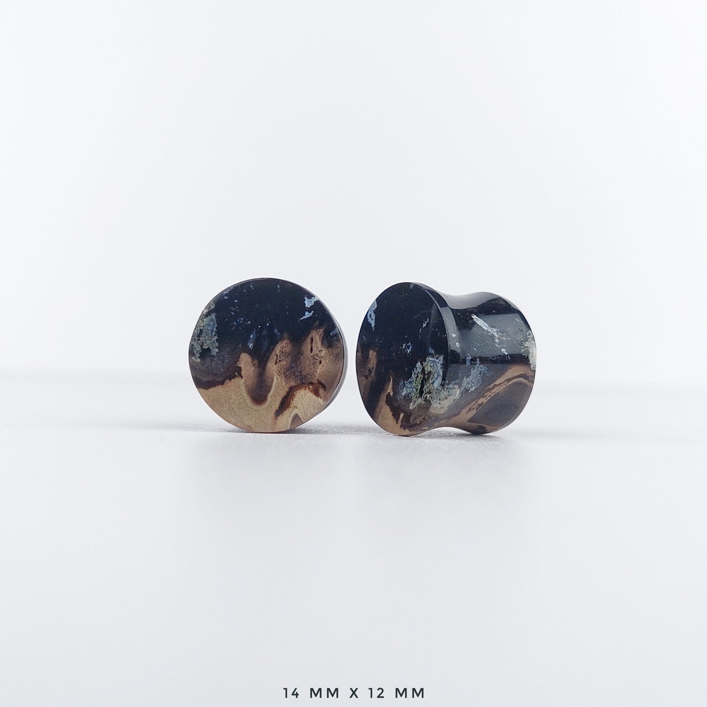 Petrified Palm Root 14mm (9/16") plugs