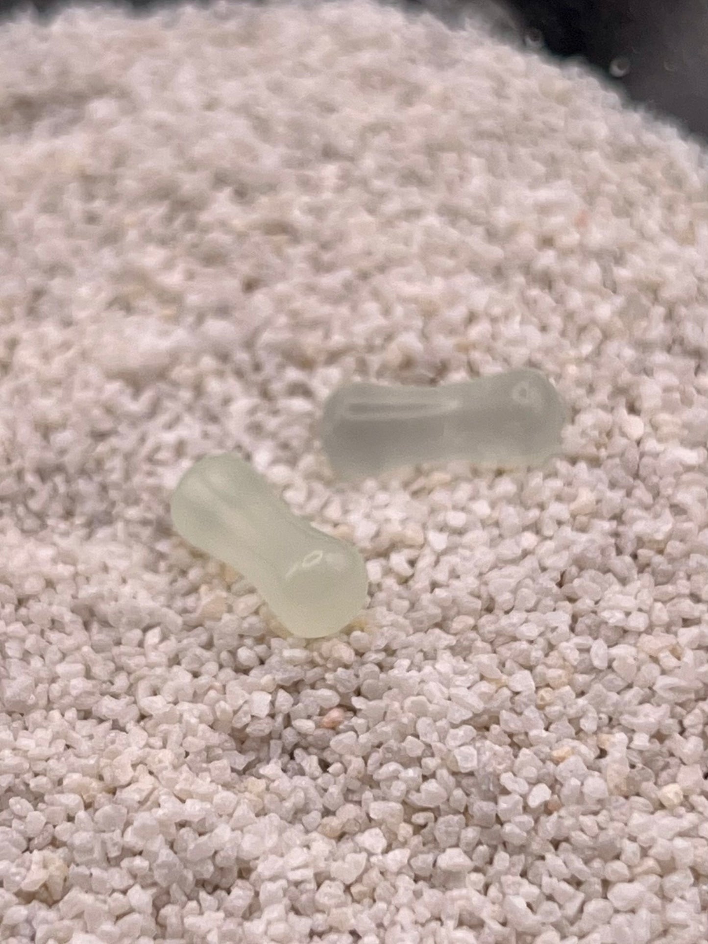 6g Double Flare Plugs