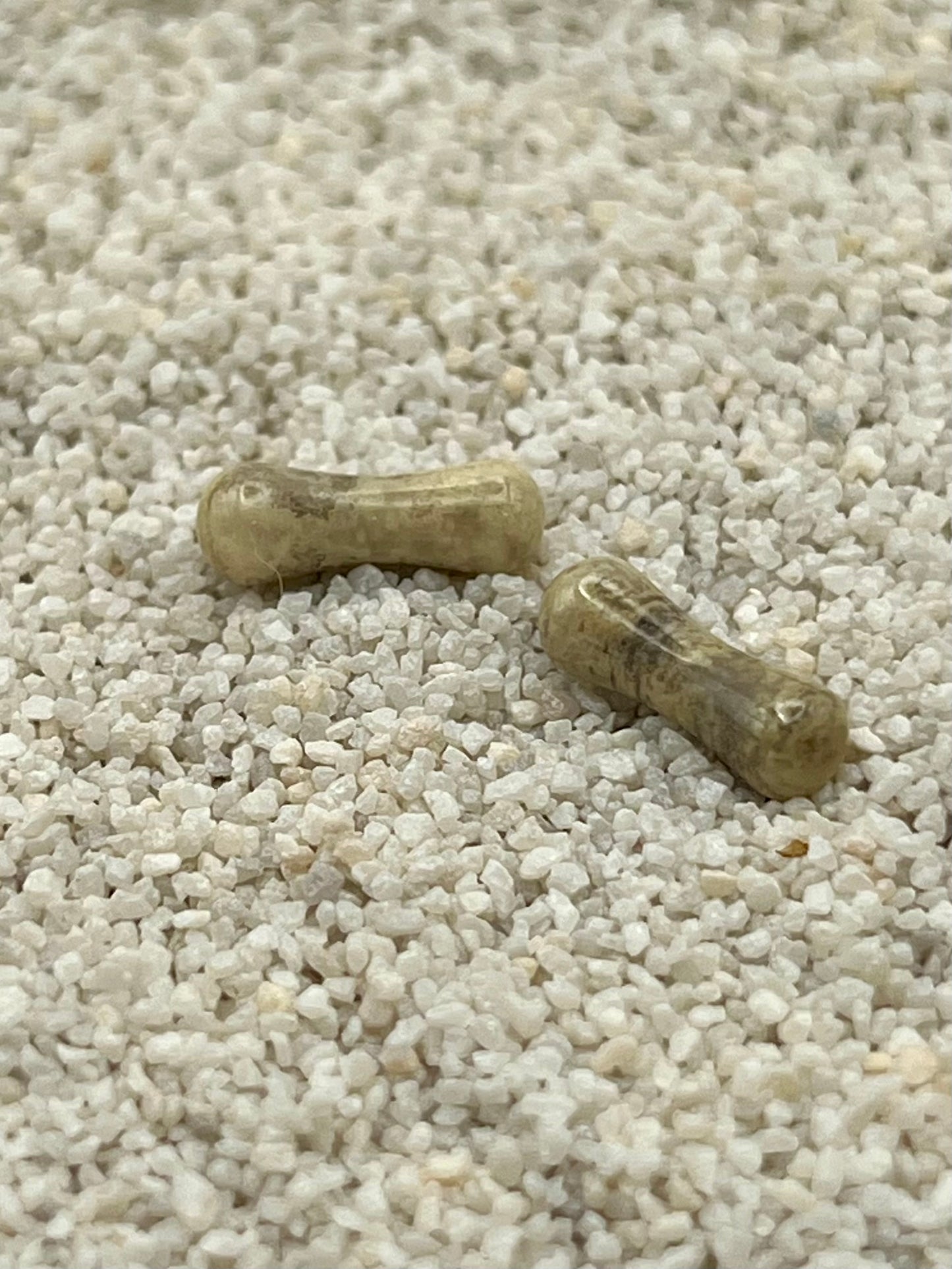 8g Double Flare Plugs