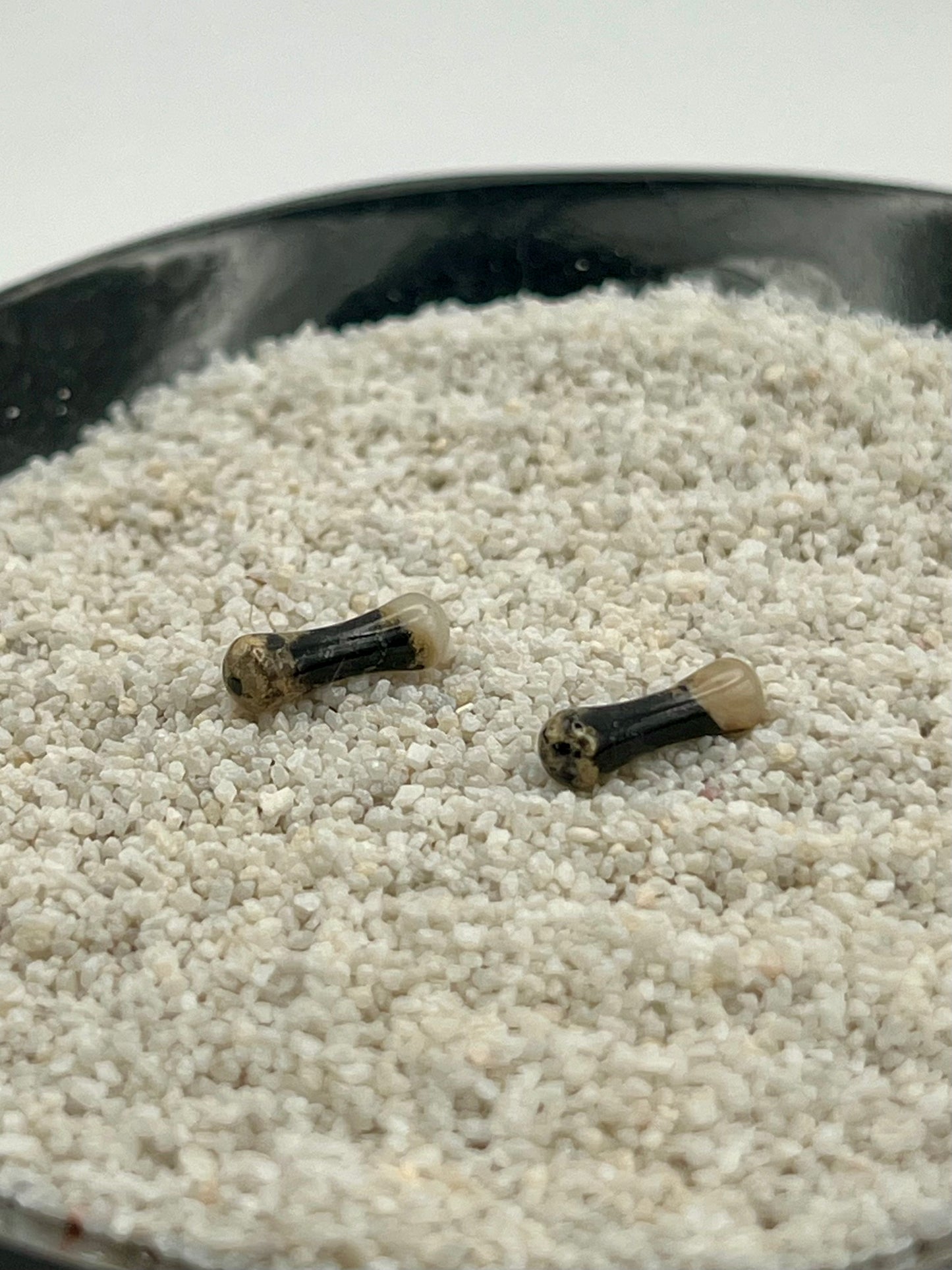 10g Double Flare Plugs